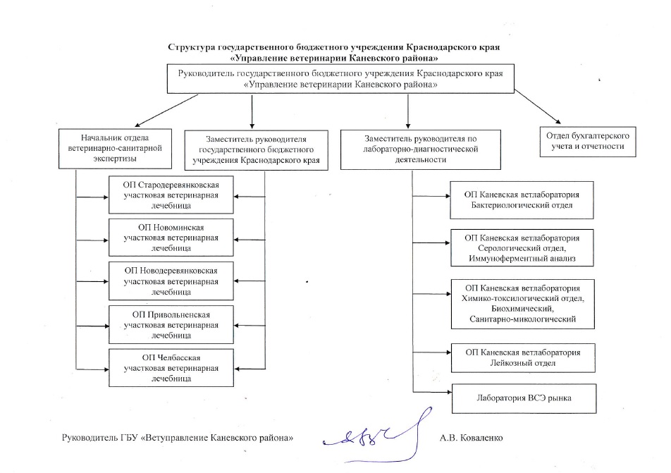 Структура_учреждения.jpg